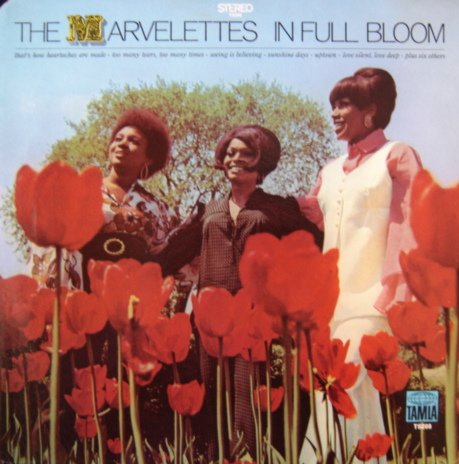 379422400_2c0795def6