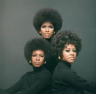 382964_306937306011836_1712448602_n