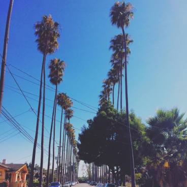 14315842_10153764921272201_1805522027_o